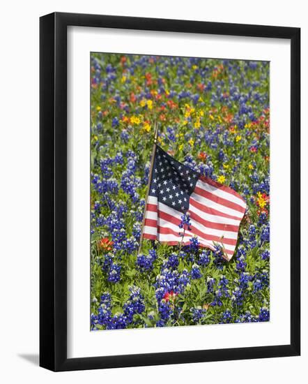 American Flag in Field of Blue Bonnets, Paintbrush, Texas Hill Country, USA-Darrell Gulin-Framed Photographic Print