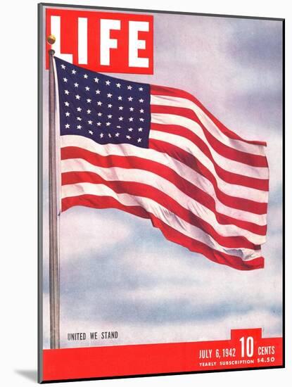 American Flag, July 6, 1942-Dmitri Kessel-Mounted Photographic Print