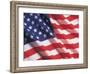 American Flag, Stars and Stripes-Terry Why-Framed Photographic Print