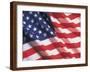 American Flag, Stars and Stripes-Terry Why-Framed Photographic Print