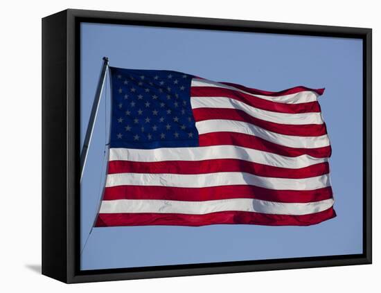 American Flag-null-Framed Premier Image Canvas