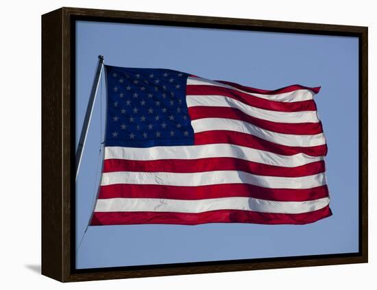 American Flag-null-Framed Premier Image Canvas