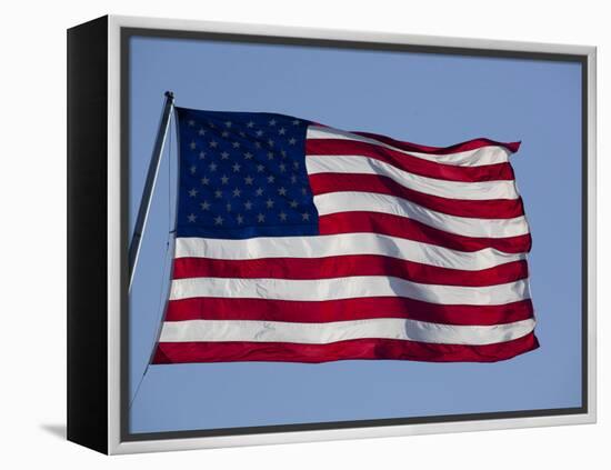 American Flag-null-Framed Premier Image Canvas
