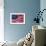 American Flag.-Xtremer-Framed Photographic Print displayed on a wall