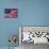 American Flag.-Xtremer-Mounted Photographic Print displayed on a wall