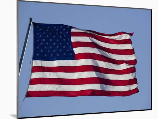 American Flag-null-Mounted Photographic Print