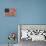 American Flag-Stella Bradley-Framed Premier Image Canvas displayed on a wall