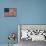 American Flag-Stella Bradley-Giclee Print displayed on a wall