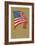 American Flag-null-Framed Premium Giclee Print