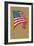 American Flag-null-Framed Premium Giclee Print