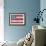 American Flag-Paul Brent-Framed Art Print displayed on a wall