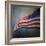 American Flag-Jai Johnson-Framed Giclee Print