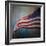 American Flag-Jai Johnson-Framed Giclee Print