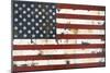 American Flag-Melissa Lyons-Mounted Art Print