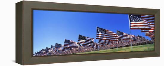 American Flags in Memory of 9/11, Pepperdine University, Malibu, California, USA-null-Framed Stretched Canvas