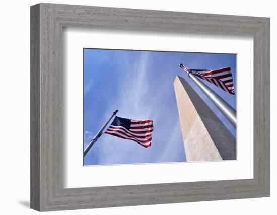 American Flags Surrounding the Washington Memorial on the National Mall in Washington Dc.-1photo-Framed Photographic Print