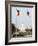 American Flags, the Capitol Building, Capitol Hill, Washington D.C.-Christian Kober-Framed Photographic Print