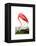 American Flamingo, 1834-John James Audubon-Framed Premier Image Canvas