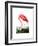 American Flamingo, 1834-John James Audubon-Framed Premium Giclee Print