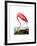 American Flamingo, 1834-John James Audubon-Framed Premium Giclee Print