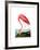 American Flamingo, 1834-John James Audubon-Framed Premium Giclee Print