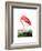 American Flamingo, 1834-John James Audubon-Framed Giclee Print