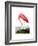 American Flamingo, 1834-John James Audubon-Framed Giclee Print