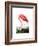 American Flamingo, 1834-John James Audubon-Framed Giclee Print