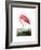 American Flamingo, 1834-John James Audubon-Framed Giclee Print