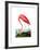 American Flamingo, 1834-John James Audubon-Framed Giclee Print