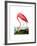 American Flamingo, 1834-John James Audubon-Framed Giclee Print