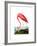 American Flamingo, 1834-John James Audubon-Framed Giclee Print