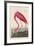 American Flamingo, 1838-John James Audubon-Framed Premium Giclee Print