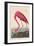 American Flamingo, 1838-John James Audubon-Framed Giclee Print