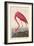 American Flamingo, 1838-John James Audubon-Framed Giclee Print