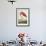 American Flamingo, from 'The Birds of America'-John James Audubon-Framed Giclee Print displayed on a wall