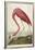 American Flamingo, from 'The Birds of America'-John James Audubon-Framed Giclee Print