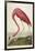 American Flamingo, from 'The Birds of America'-John James Audubon-Framed Giclee Print