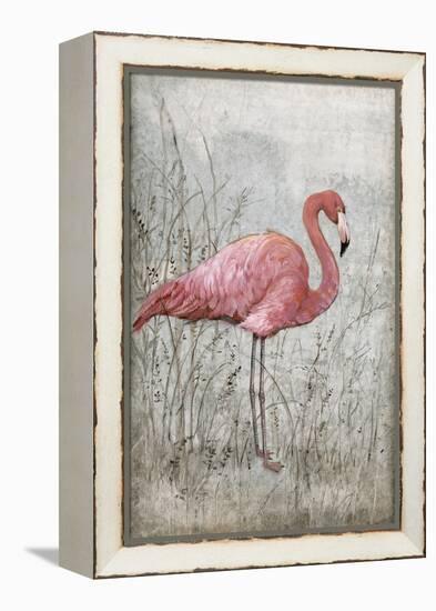 American Flamingo I-Tim O'toole-Framed Stretched Canvas