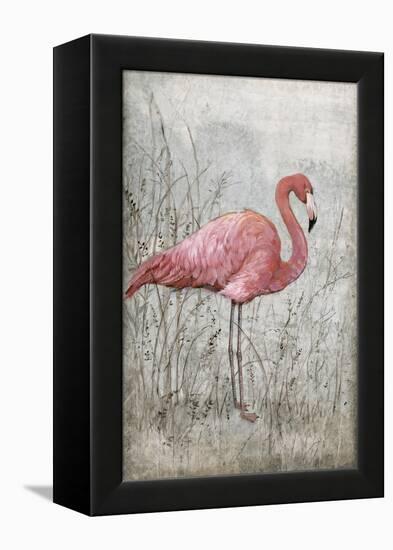 American Flamingo I-Tim O'toole-Framed Stretched Canvas