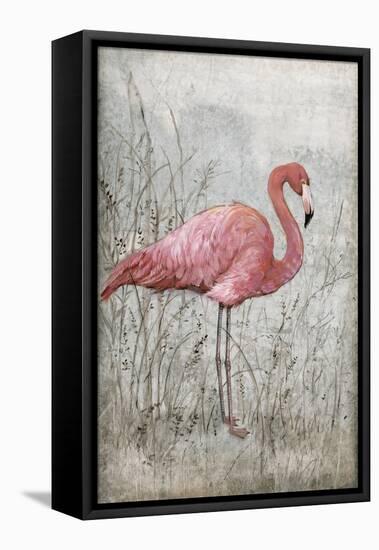 American Flamingo I-Tim O'toole-Framed Stretched Canvas