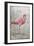 American Flamingo I-Tim O'toole-Framed Premium Giclee Print