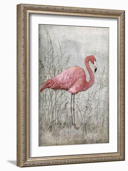 American Flamingo I-Tim O'toole-Framed Art Print