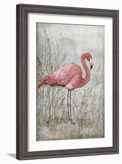 American Flamingo I-Tim O'toole-Framed Art Print