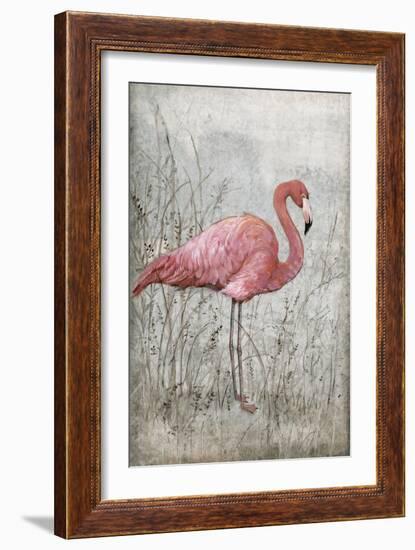 American Flamingo I-Tim O'toole-Framed Art Print