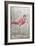 American Flamingo I-Tim O'toole-Framed Art Print