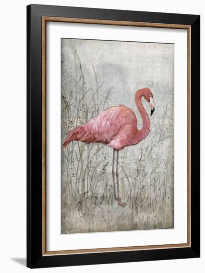 American Flamingo I-Tim O'toole-Framed Art Print