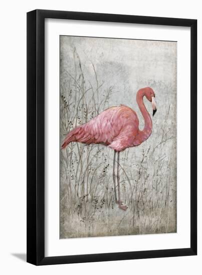 American Flamingo I-Tim O'toole-Framed Art Print