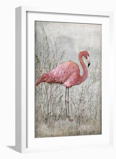 American Flamingo I-Tim O'toole-Framed Art Print