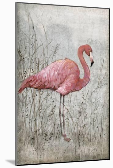 American Flamingo I-Tim O'toole-Mounted Art Print